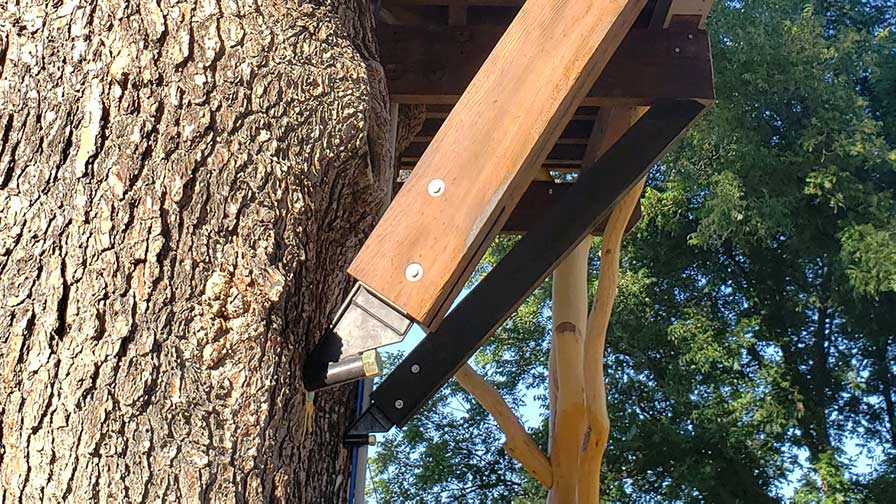 Mesquite treehouse structure support
