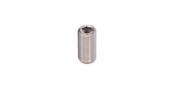 Vis en acier inoxydable M10x1x40 DIN 913